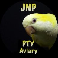 jnppty