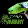 Eddie's Aviary